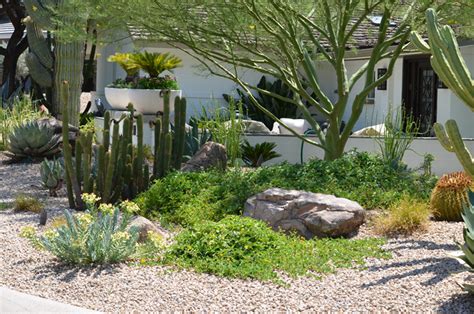 Creating A Lush Desert Oasis In The Urban Landscape Desert Landscape