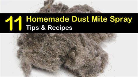 Getting Rid Of Dust Mites 11 Homemade Dust Mite Spray Tips And 2023