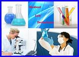 How To Get A Medical Laboratory Technician License Pictures