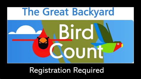 The Great Backyard Bird Count 2021 Alapark