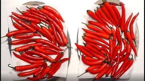 COMMENT FAIRE SÉCHER DES PIMENTS FORTS in 2020