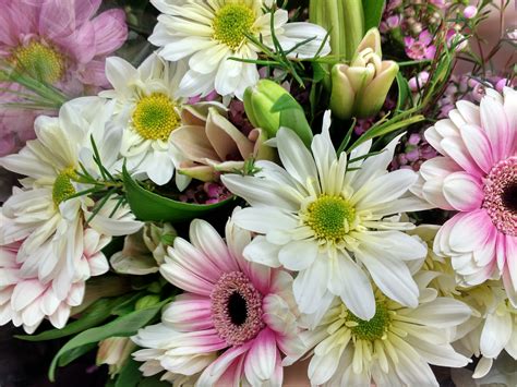 Spring Flowers Bouquet Close Up Picture Free Photograph Photos