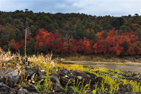 5 Lugares De Chile Que Debes Conocer Y Fotografiar En Otoño