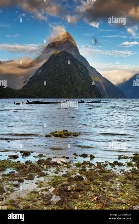 Mitre Peak At Sunrise Fiord Milford Sound New Zealand Stock Photo Alamy