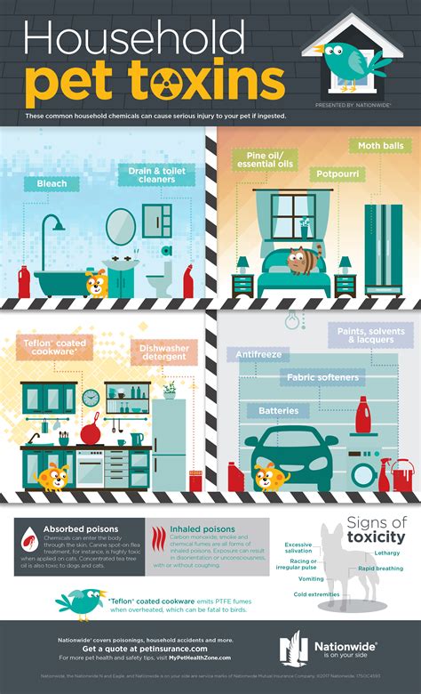 Household Pet Toxins Infographic Pet Health Insurance Tips