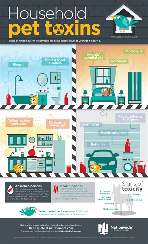 Aspca pet health insurance was developed by crum & forster pet insurance group™, a strategic partner of @aspca, to help pets live healthier lives. Household Pet Toxins Infographic | Pet Health Insurance & Tips