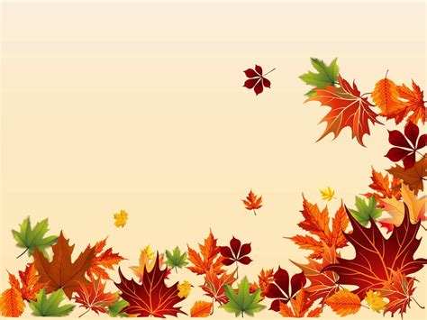 Fall Footage Vector Art And Graphics