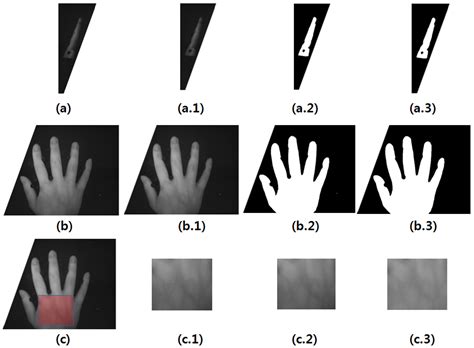 Sensors Free Full Text Hand Biometric Recognition Based On Fused