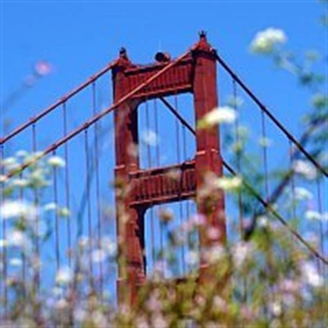 Book christmas day dinner now in san francisco. Christmas Dinner in San Francisco: Ideas for 2019