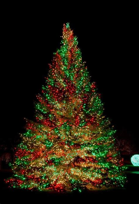 The Best Diy And Decor Christmas Lights Outdoor Christmas Tree Cool
