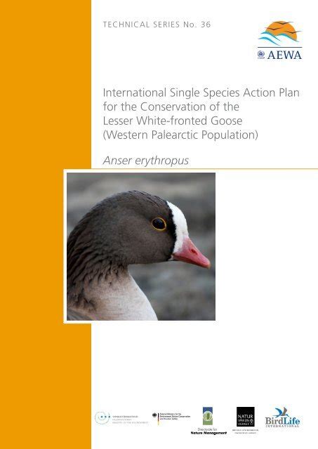 International Single Species Action Plan For The Conservation Aewa