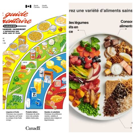 Le Nouveau Guide Alimentaire Canadien Triathlon Magazine Canada