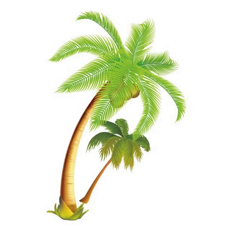Free for personal use only Coconut Tree Vector Png Clipart Palm Trees Coconut - Palm ...