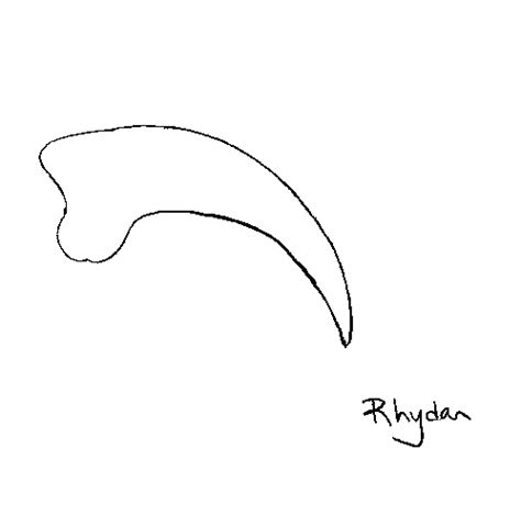 This claw detail is a unique feature to the velociraptor. raptor claw by rhydan on deviantART