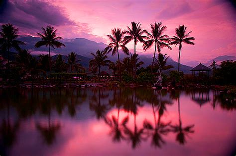 Tropical Purple With Images Beach Sunset Wallpaper