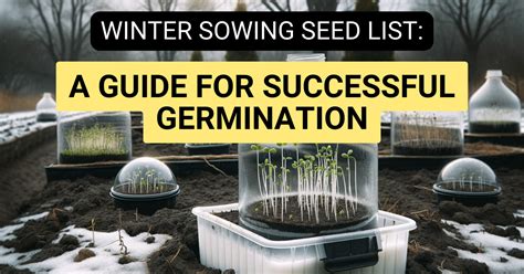 Guide Winter Sowing Seed List Effective Methods