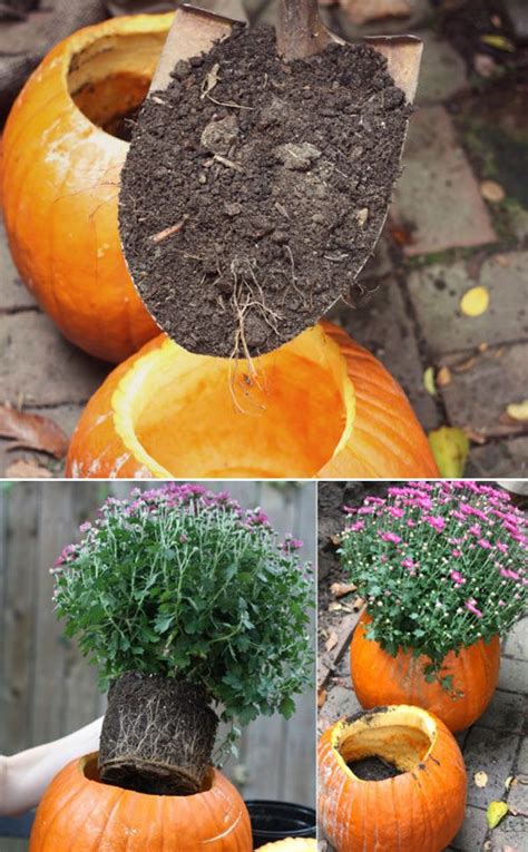 After Making These Pumpkin Planters Just Place Them On The Front