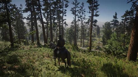 Absolute Correction For Rdr2 At Red Dead Redemption 2 Nexus Mods And
