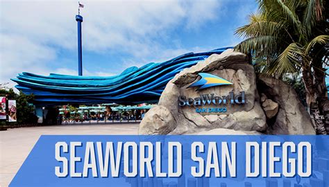 Behind The Thrills Seaworld San Diego Opening August 28 Heres What