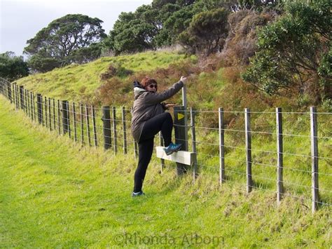 Wireless or electronic dog fences are a safe, effective & economical solution to keeping your dogs out of trouble. Intimidated by Cows I Safely Climbed Over an Electric Fence