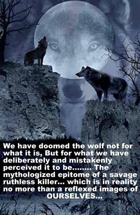 49 Best Humility Wolf Images On Pinterest Shamanism Wolves And
