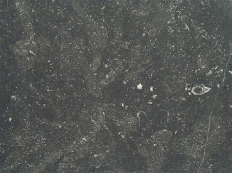 The Belgian Black Marble Belgian Blue Stone Blue Stone