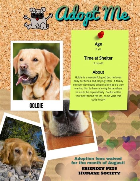 Pet Adoption Ad Flyer Template Pet Adoption Free Pet Adoption