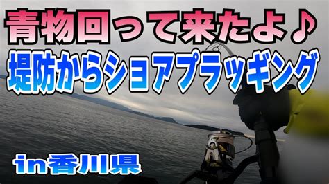 堤防からショアプラッギングショアジギングin香川県ブリハマチ青物釣るぞ YouTube