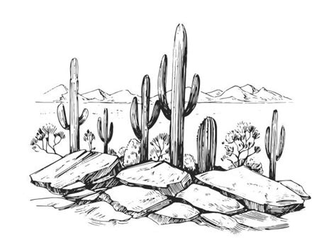 Rocky Desert Landscape Illustrations Royalty Free Vector Graphics