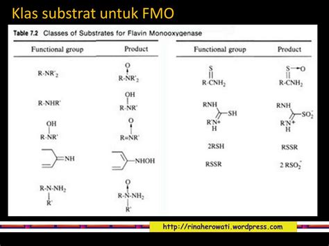 Ppt Aspek Kimia Metabolisme Powerpoint Presentation Free Download