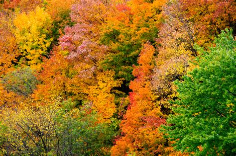 How To Capture Beautiful Fall Pictures And Make The Most