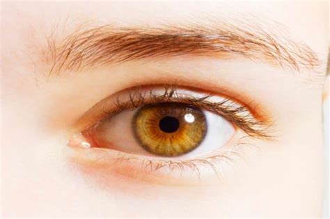 आंखों की चमक बढ़ाने के कुदरती तरीके Hazel Eyes Eye Color Pretty Eyes