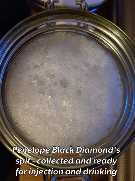This Is Spit From Penelope Black Diamond She Collected It I