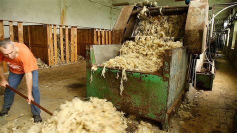 The Scouring Of Wool In Serbia For Revolana Products Biodombio En