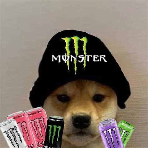 Pin By Connie Uchiha On Dog Xhido Cat And Dog Memes Dog Memes Dog Icon