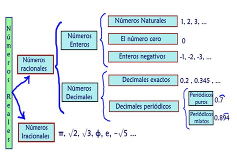 Mapa Conceptual De Los N Meros Reales Gu A Paso A Paso