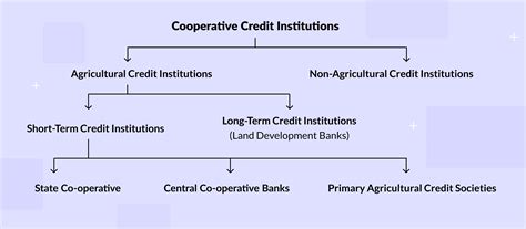 Cooperative Banking Meaning Structure And Advantages