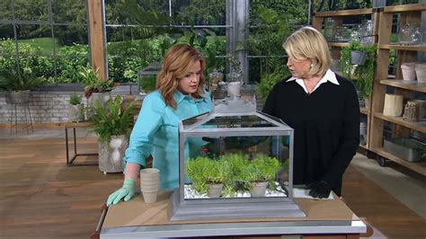 Martha Stewart Terrarium With 5 Flower Pots And Decorative