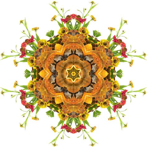 Mandala do movimento ilustração stock. Ilustração de movimento - 1630555