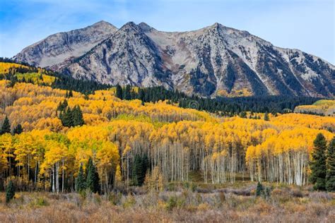Beautiful And Colorful Colorado Rocky Mountain Autumn Scenery Mt