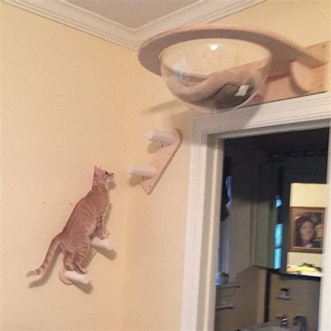 Ceiling Complex For Cats Etsy Cat Room Animal Room Cat Wall Furniture
