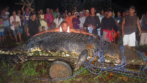 Lolong The Worlds Largest Crocodile In Captivity Dies