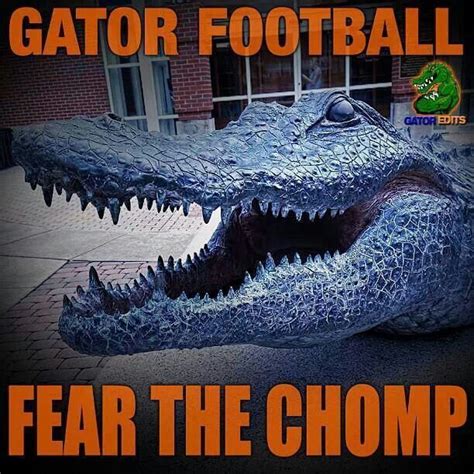 Chomp Chomp Florida Gators Wallpaper Florida Gators Football Old
