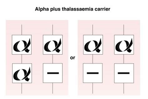 Understanding Haemoglobinopathies Govuk