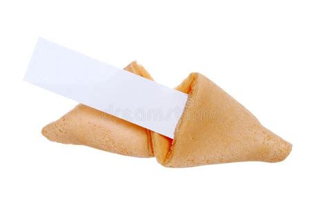 Blank Fortune Cookie Stock Photo Image Of Fortune Dining 3029084