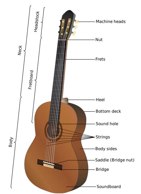 It is held flat against the player's body and played by strumming or plucking the strings with the dominant hand. Classical Guitar Construction