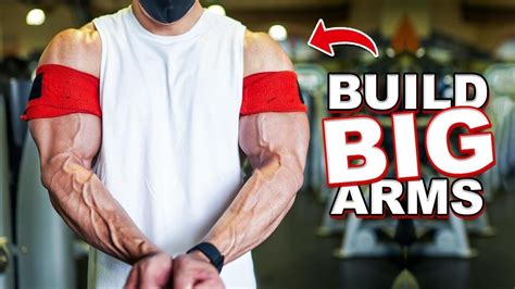 How To Get Bigger Arms Fast Full Workout Youtube