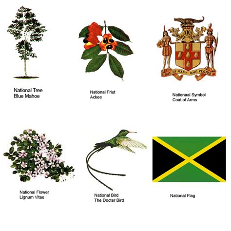 The Jamaicas National Symbols Traverse Jamaica