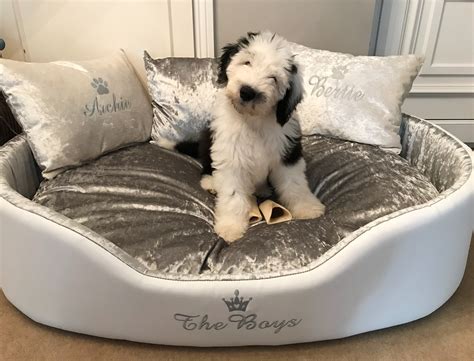Personalised Giant White And Silver Crushed Velvet Dog Bed Set Unique