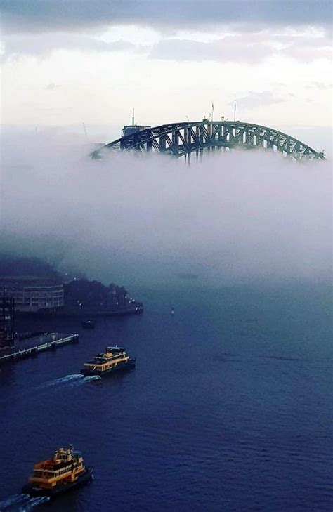 Sydney Fog Public Transport And Flights Delayed And Cancelled After
